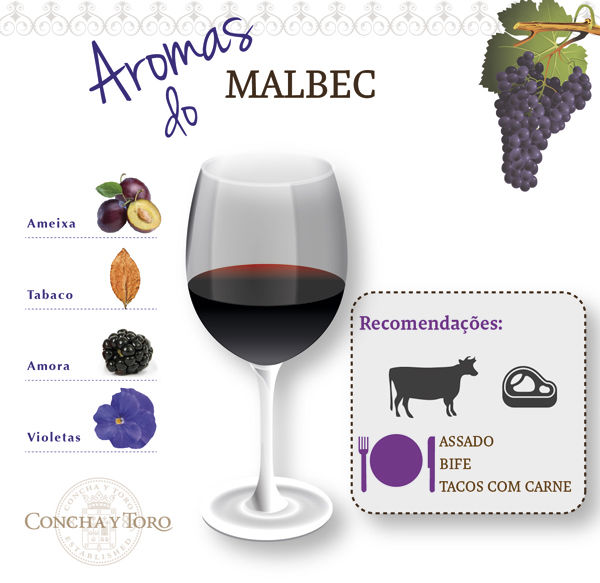 Malbec-port concha y toro vinho