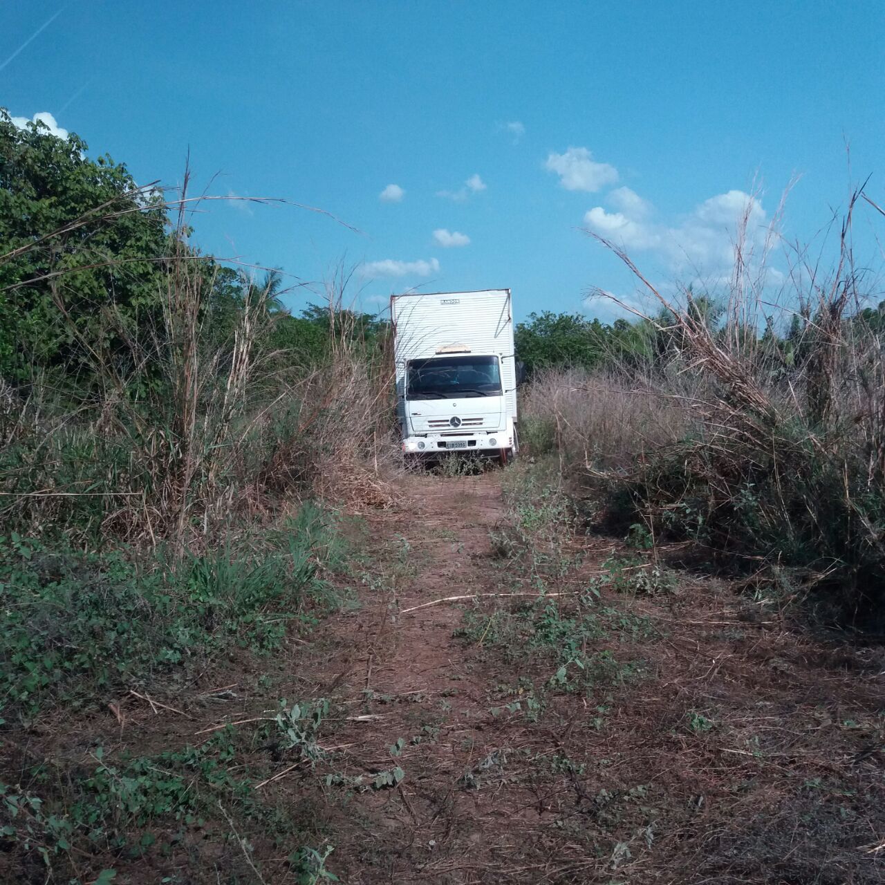 Caminhão com carga recuperada pela PM (Crédito: Divulgação PMTO)