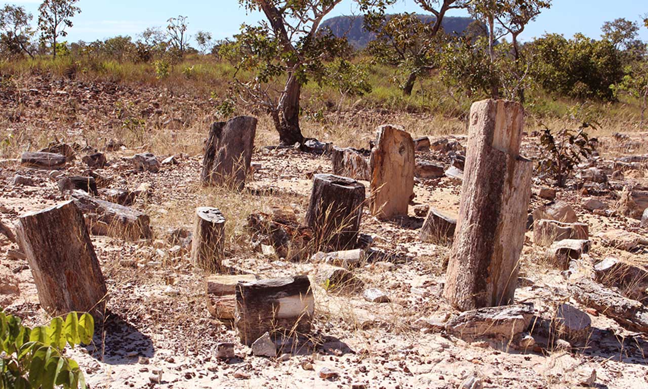 monumento natural das arvores fossilizadasdo tocantins - foto carlos magno - secom (10)