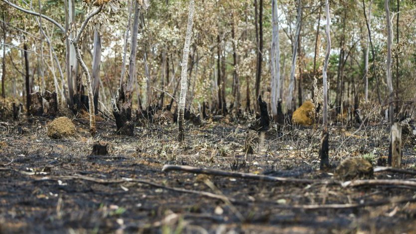 Focos de incêndios no Tocantins ultrapassam os 7 mil nos primeiros 10 meses de 2023