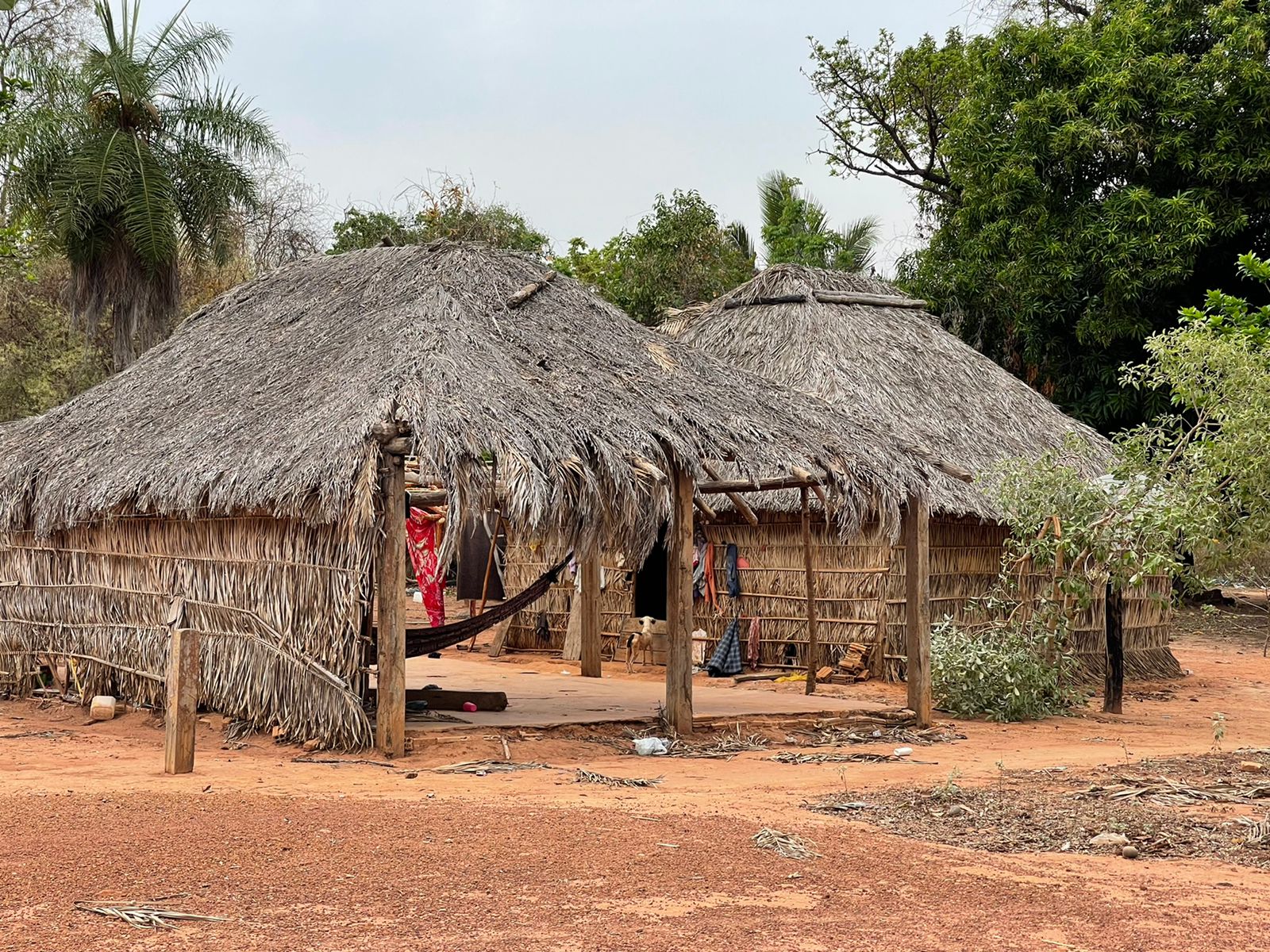 Documentário ‘lendas Do Cerrado Traz As Histórias Dos Povos Indígenas Do Tocantins Gazeta Do 6422