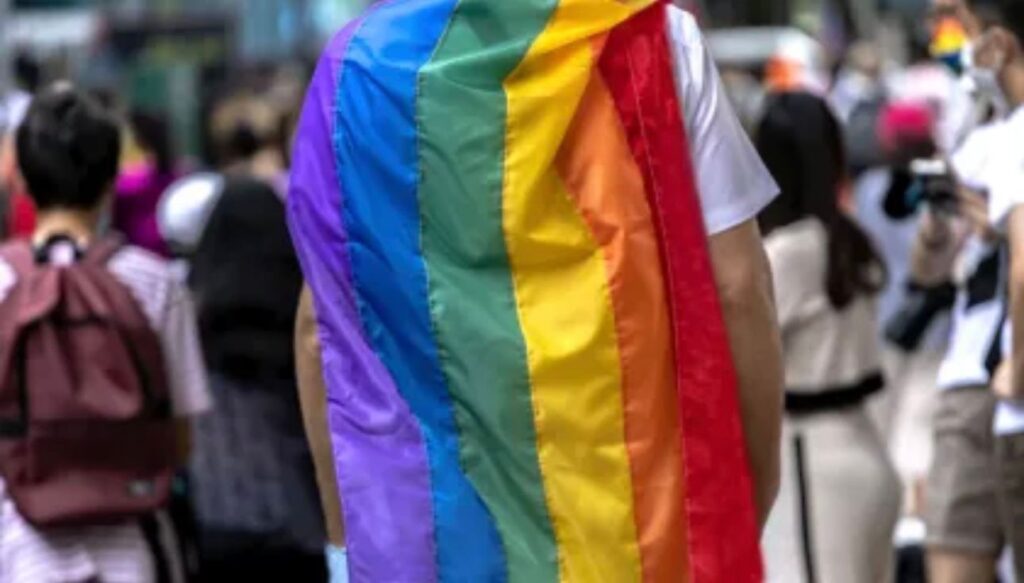 Comissão da Câmara dos Deputados aprova projeto que proíbe casamento homoafetivo - Foto - Divulgação
