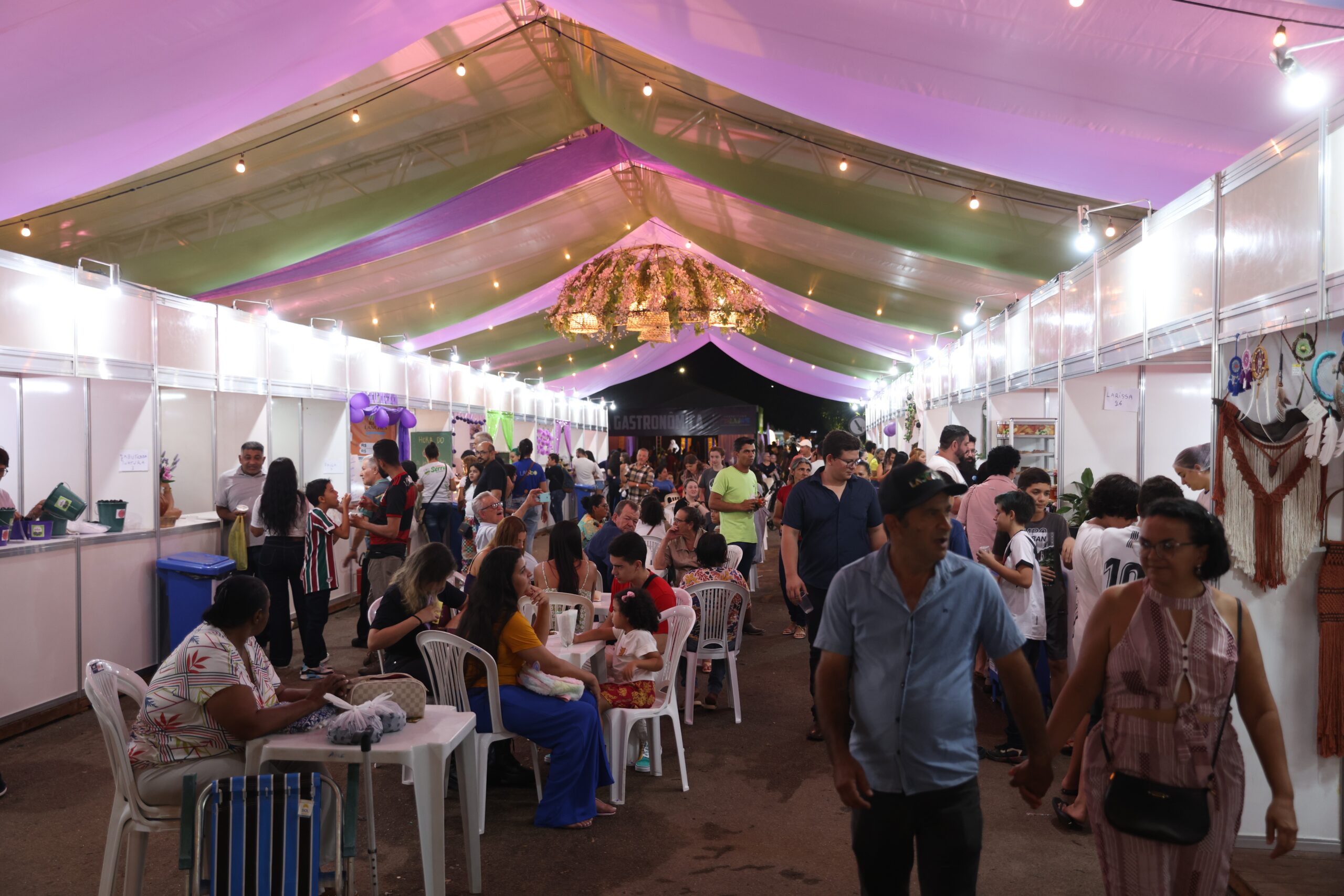 Festa da Jabuticaba em Taquaruçu: Celebração de sabores encanta visitantes e empreendedores locais
