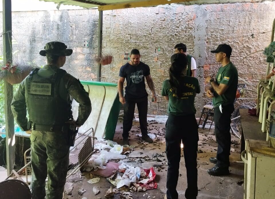 Cachorros foram resgatados em Araguaína - Foto - Polícia Militar do Tocantins