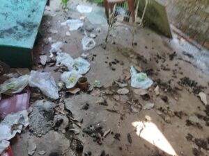 Animais estavam em meio ao lixo e fezes - Foto - Polícia Militar do Tocantins
