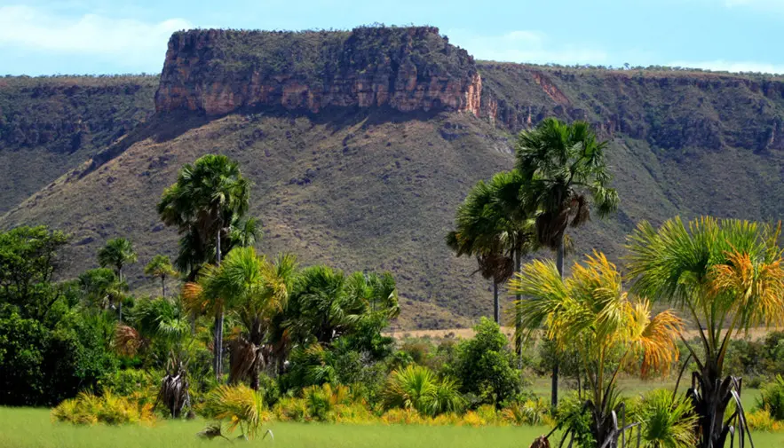 Tocantins registra 85% de redução de áreas impactadas com desmatamento