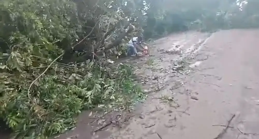 Forte chuva gera transtornos, atrapalha trânsito e derruba árvores na TO-080