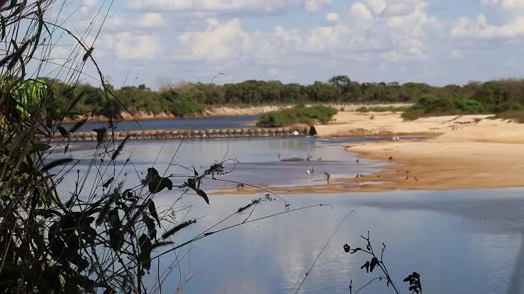 Impactos ambientais na Bacia Araguaia-Tocantins são tema de debate