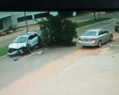 ‘Pelo menos não foi um poste’: motorista arranca árvore de canteiro ao perder controle de carro em Araguaína