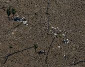 Imagens de satélite ajudam órgão em apuração de 34 desmatamentos ilegais no Tocantins