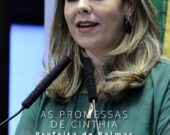 Hospital, rodoviária, centro de parto normal, 4 ETIs: Levantamento nacional aponta quais promessas de campanha foram cumpridas ou não em Palmas