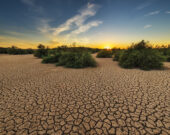 Tocantins apresenta seca em 98% de seu território entre abril e junho, mostra monitoramento