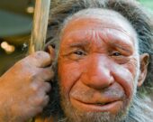 10 contribuições dos neandertais